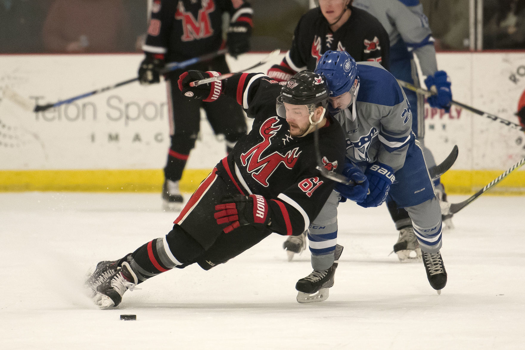 Moose hockey